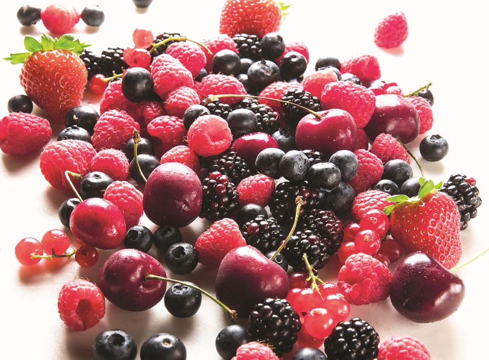 ability to correctly preserve food in different working conditions