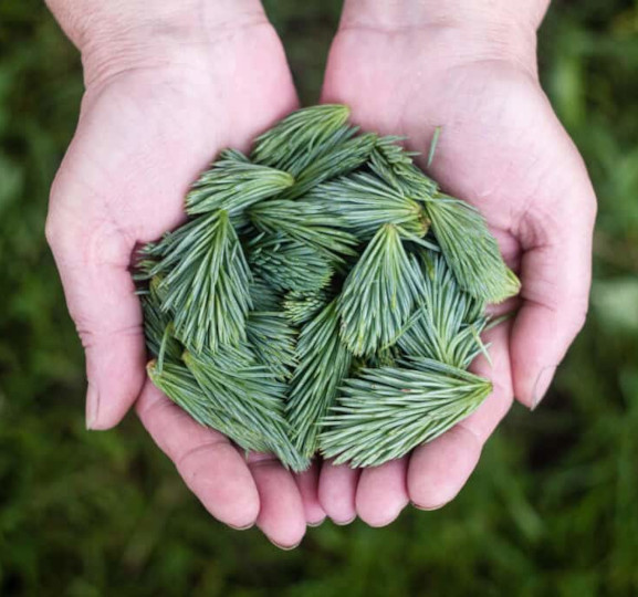 A sustainable approach_1 A sustainable approach_1