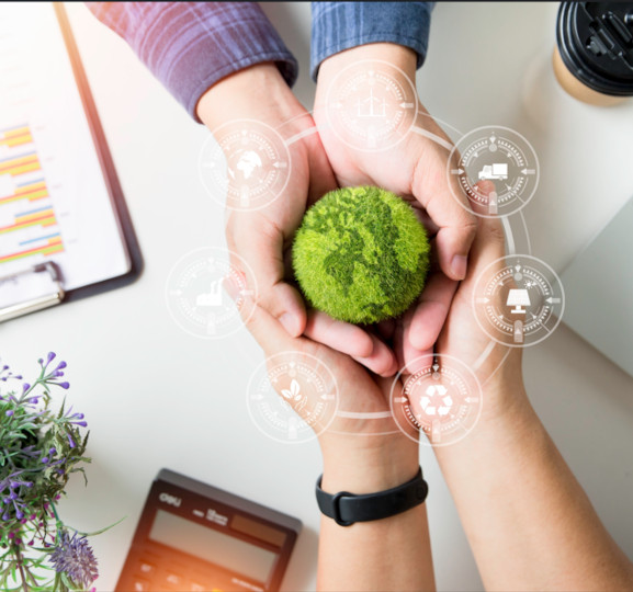 Dado studio categories