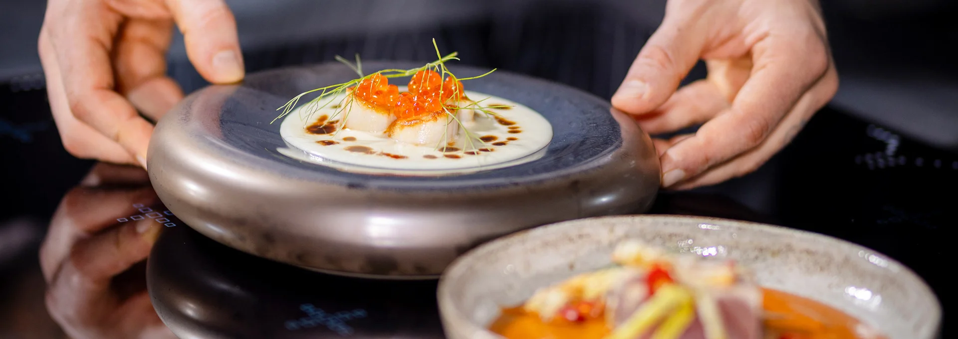 thermaline-premium-cooking-range-chef-free-zone-induction-electrolux-professional-hero-banner-dim-1920x680 thermaline-premium-cooking-range-chef-free-zone-induction-electrolux-professional-hero-banner-dim-1920x680