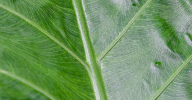 0O3A3399-R290 0O3A3399-R290