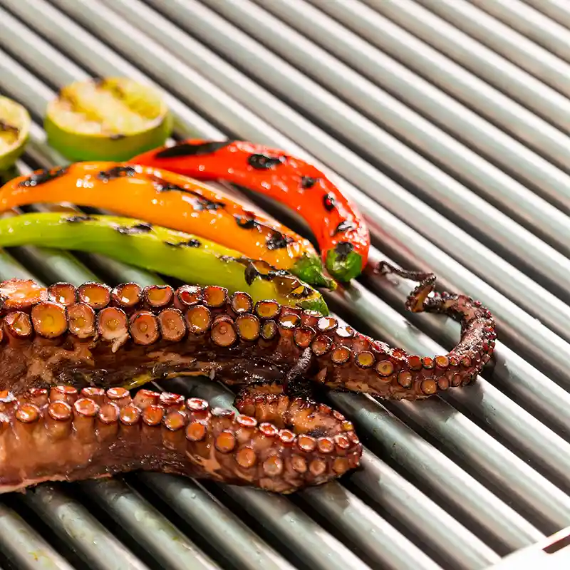 direct-cooking-power-grill-e-XP-700-900-electrolux-professional-dim-800x800