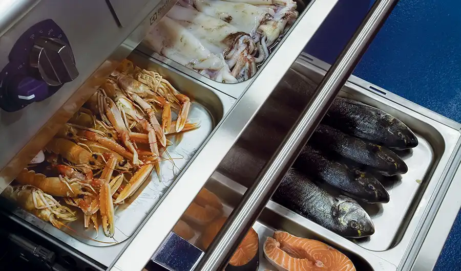 icy-hot-freezer-refrigerator-e-XP-700-900-modular-cooking-electrolux-professional-dim-900x530